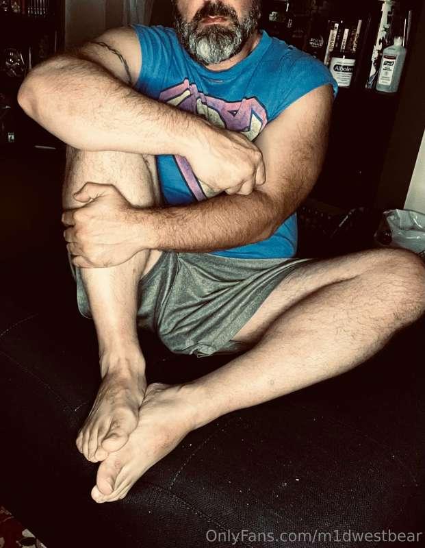 m1dwestbear image #2
