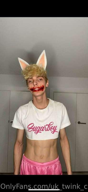 The Halloween bunny has arrived!