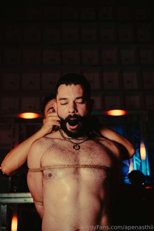 apenasthii image #16