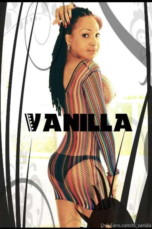 ts_vanilla image #1