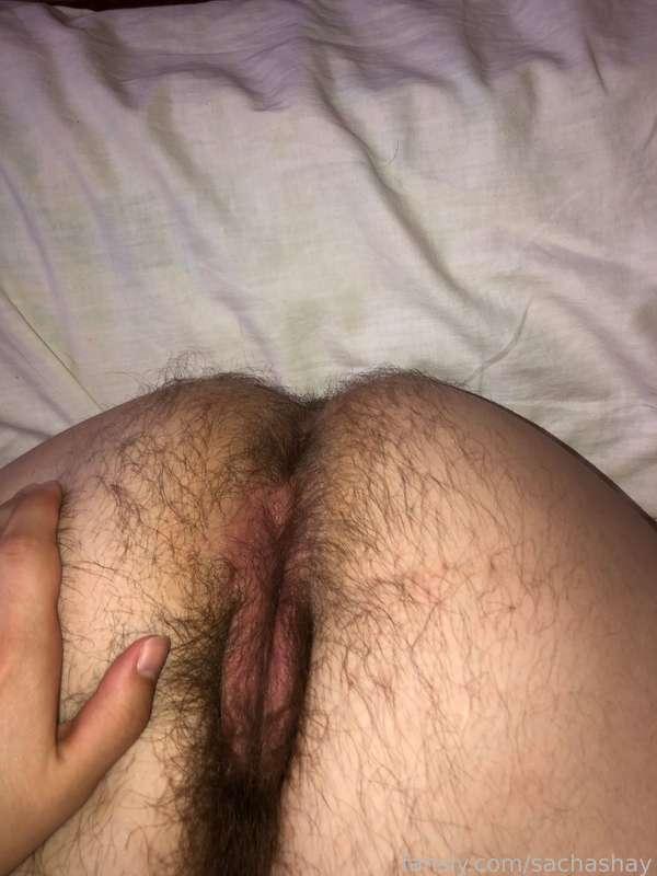 sachashay image #2