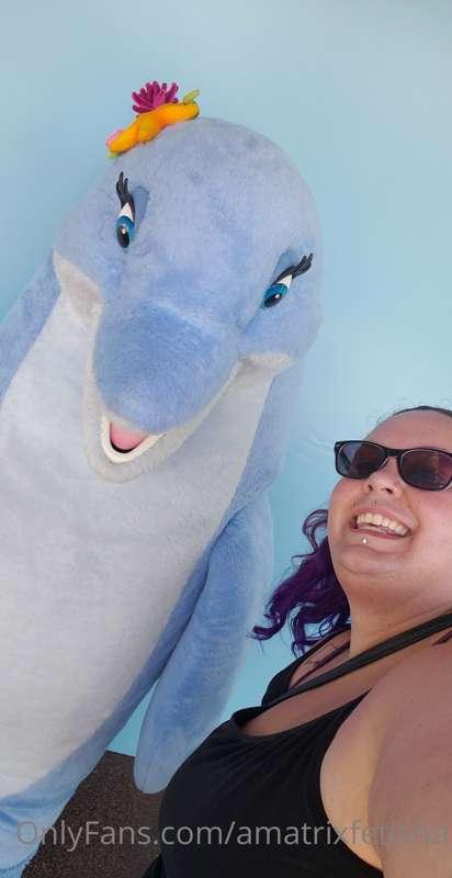 I can confirm I am too fat for every ride in SeaWorld San Di..