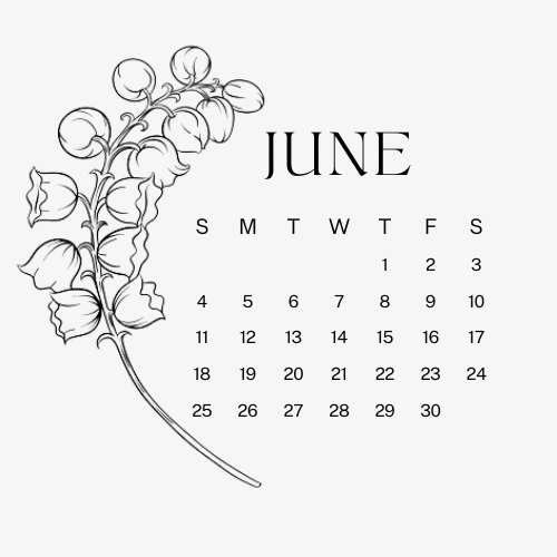 JUNE ❤︎