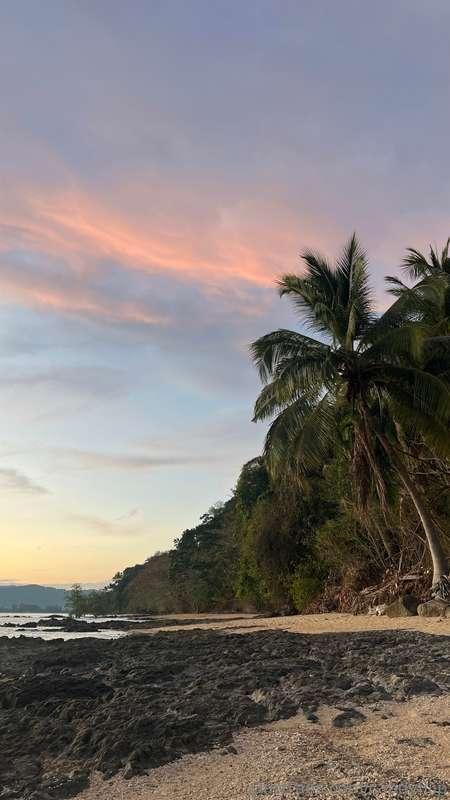 Sunsets are one of the most beautiful wonders of nature. The..