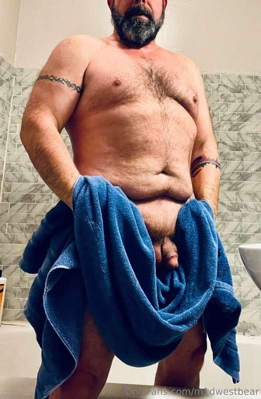 m1dwestbear image #3