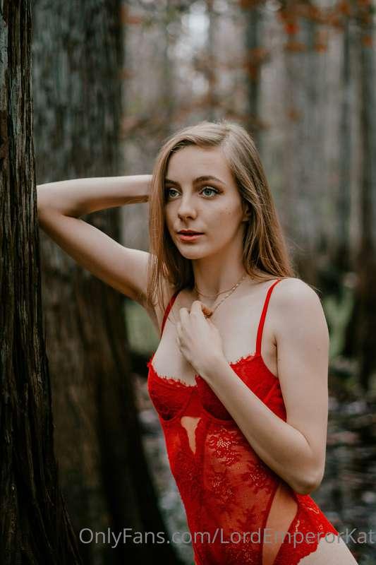 We took these in the forest , hiding from the people walking..