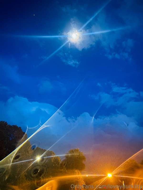 loveyourkitty image #6