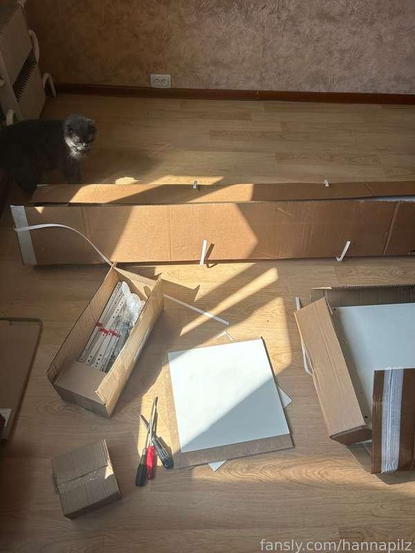 I'm trying to assemble new furniture and I've got an assistant ahah 