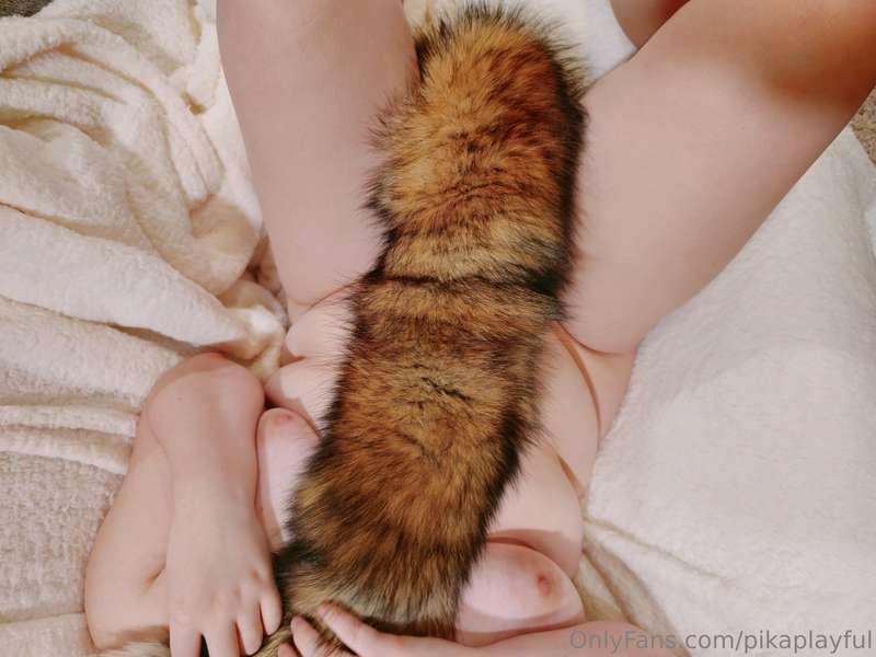 Fox tail 🦊