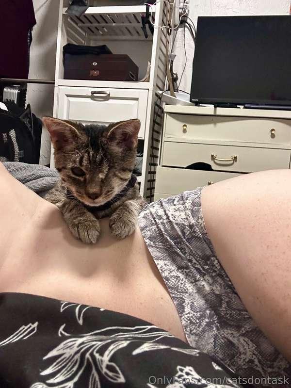 catsdontask image #1