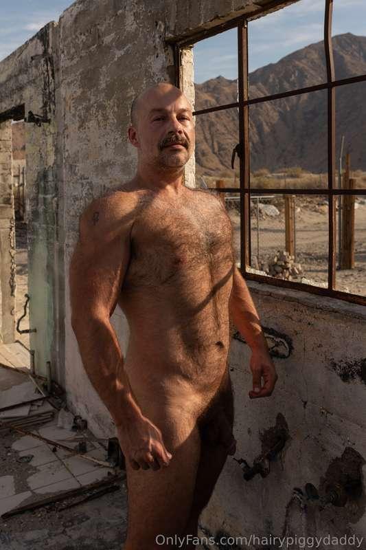 hairypiggydaddy image #3