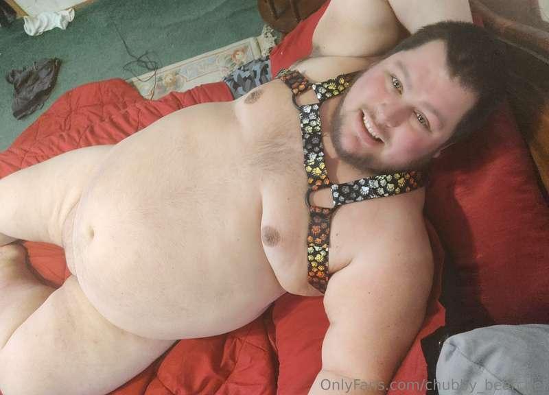 chubby_bearchef main image