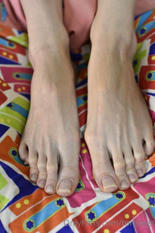 torislegs image #15