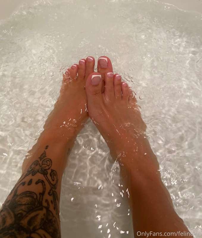 wet paws 🐾