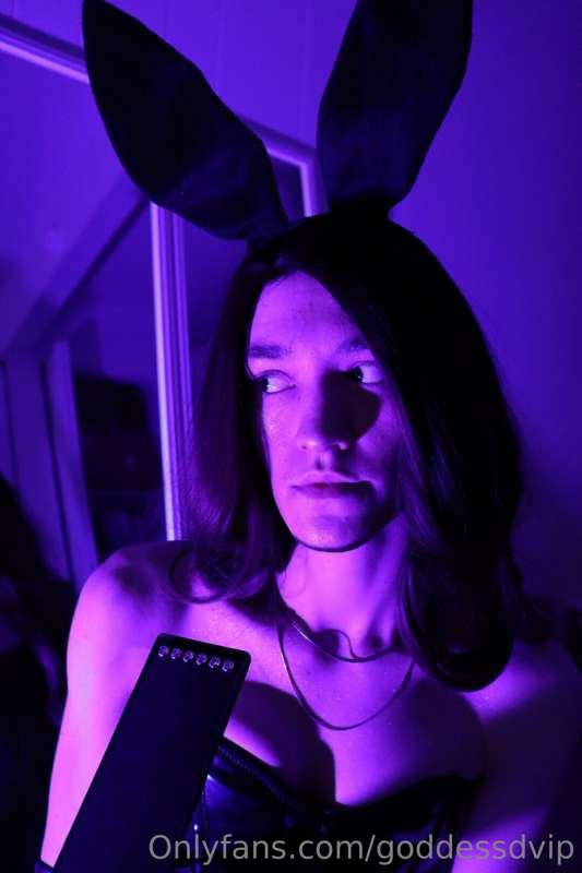 goddessdvip image #5