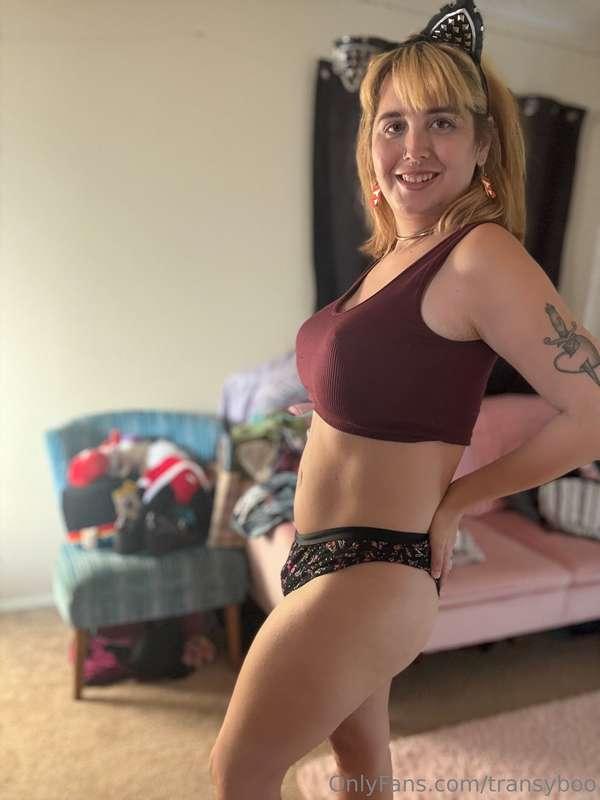 transyboo image #11
