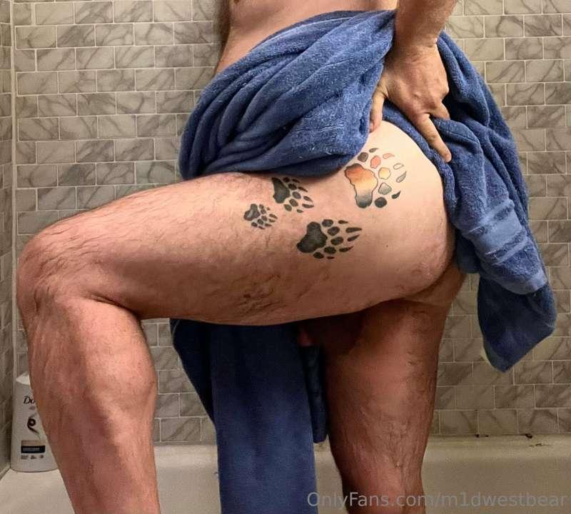 m1dwestbear image #8