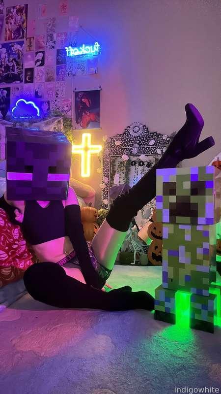 indigowhite image #278