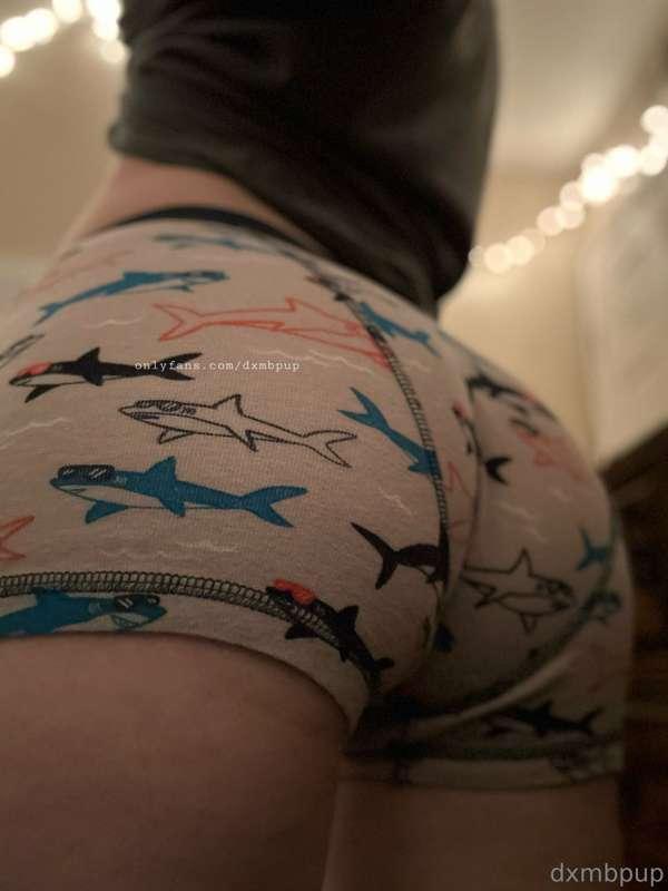 do you like sharks?