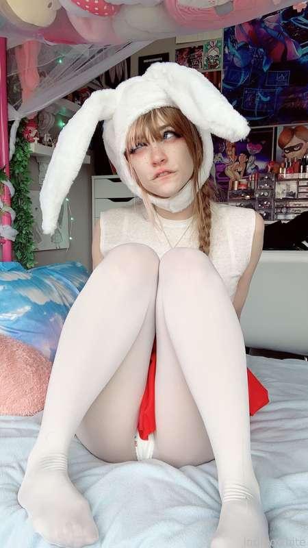 indigowhite image #120
