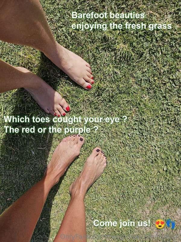 Barefoot beauties enjoying the fresh grass 🌿✨ Which toes cou..