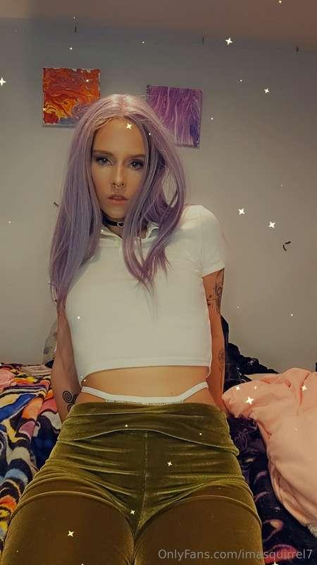 imasquirrel7 image #0