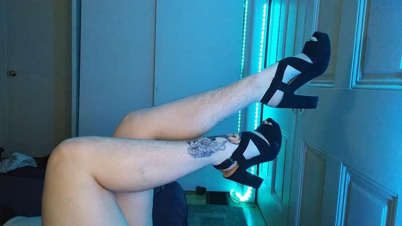 pumpkinpatchof image #0