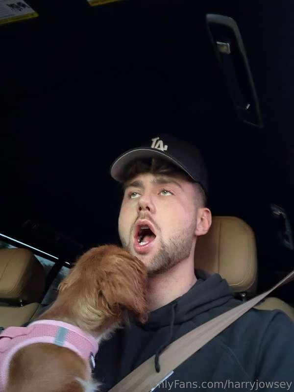 Oh nothing to see here just me and my ride or die 🐶💞