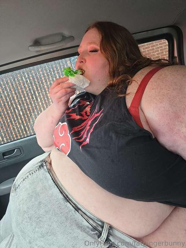 fatgingerbunny image #16