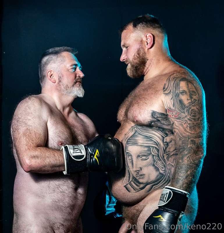 Boxing Bears preview - gallery 1 online this weekend! - shoo..