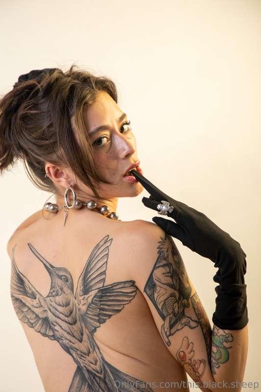 this.black.sheep image #2