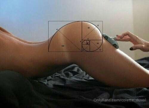 Fibonacci's spiral in real life 👀