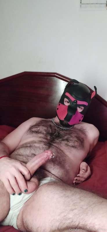 🔥🔥🔥@puppybearcub🔥🔥🔥
🐶I'm a Good boy 🇦🇷
🔥 Xxx videos
🔥 Mastur..
