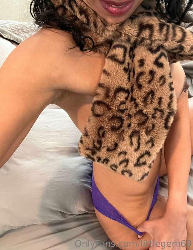 🐆
