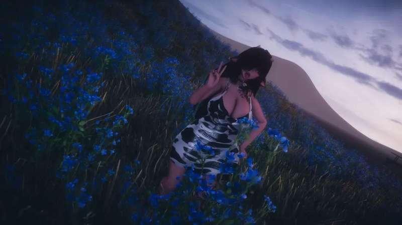 hakaivr image #9