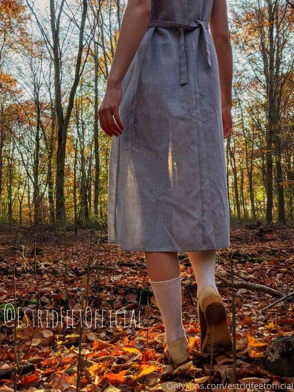 Walking through the autumn forest, looking for a good place ..