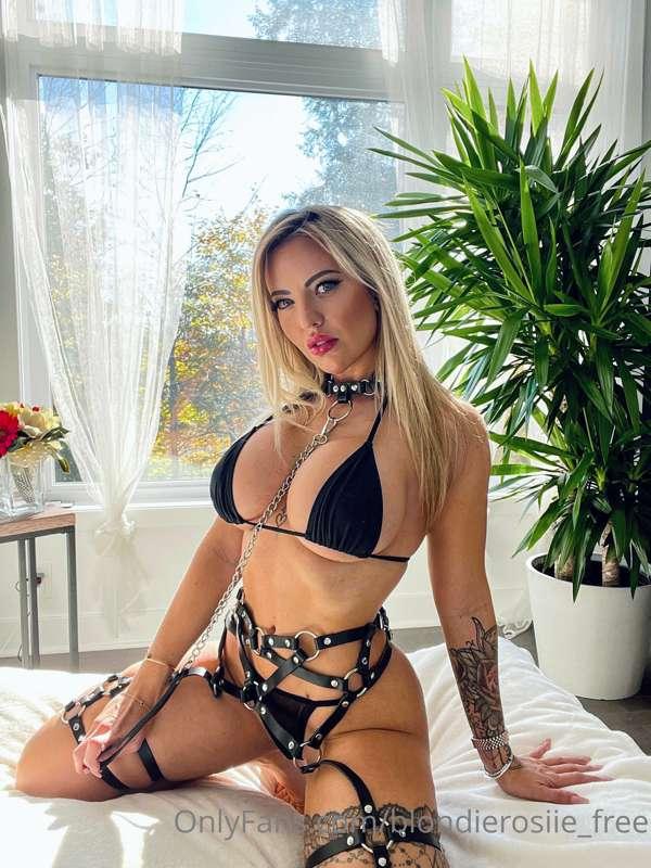 Do you like to be dominated babe?
Tu aimes etre dominé babe?
