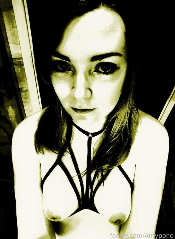 amypond image #3