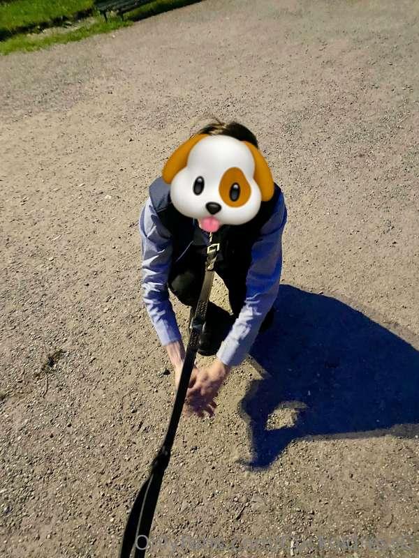 Today I went for a walk in the park and decided to bring cuc..