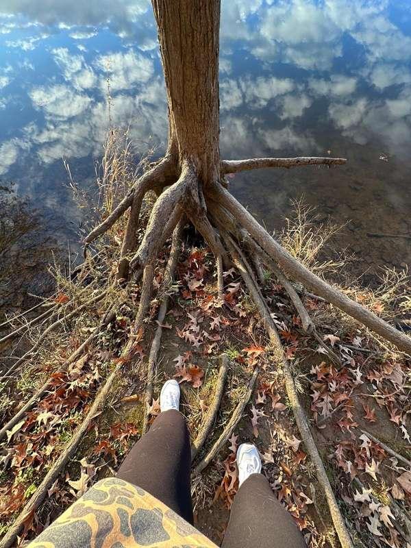 Nature walk 🌳