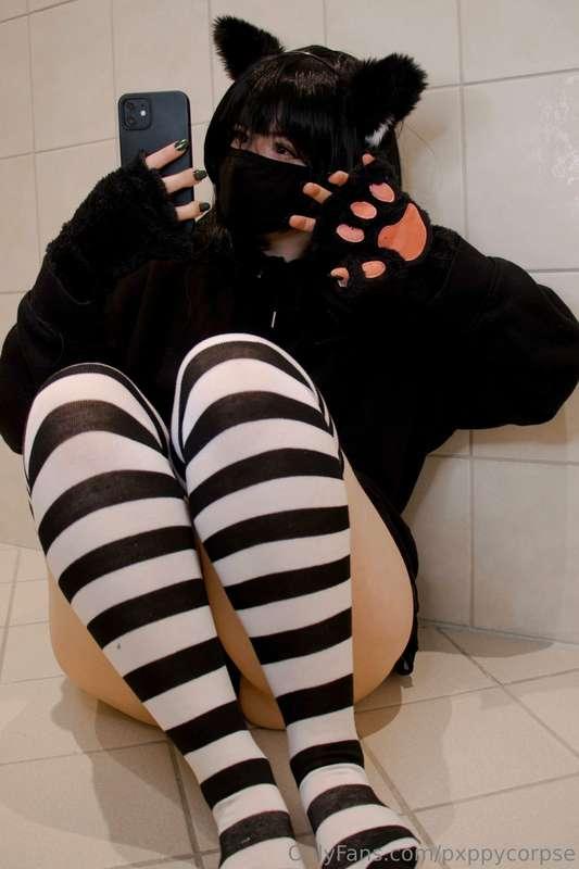 puppy turned into cat girl :3
