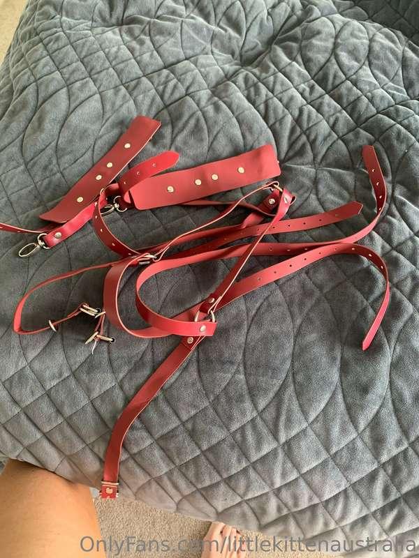 Who wants to play??? 😈