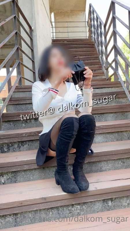 dalkom_sugar main image