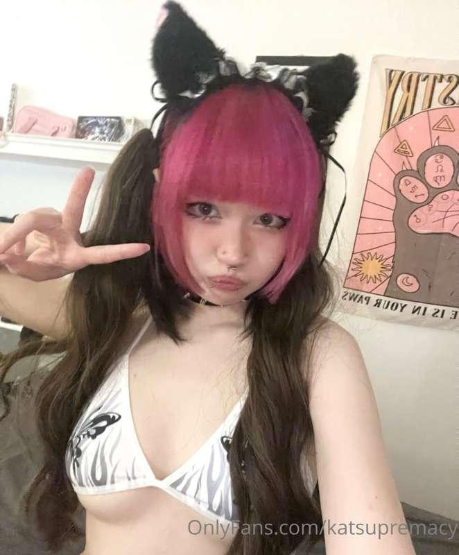 katsupremacy image #0