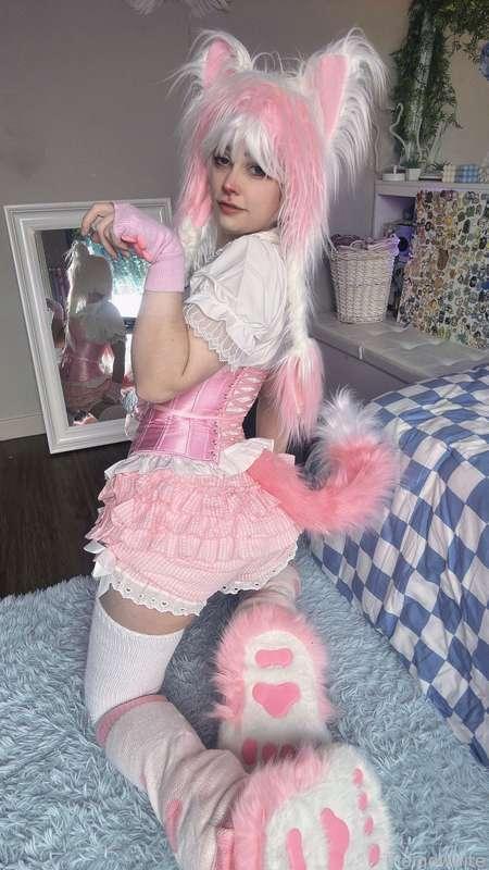 indigowhite image #71