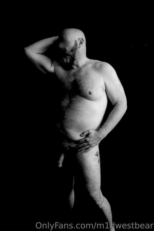 m1dwestbear image #8