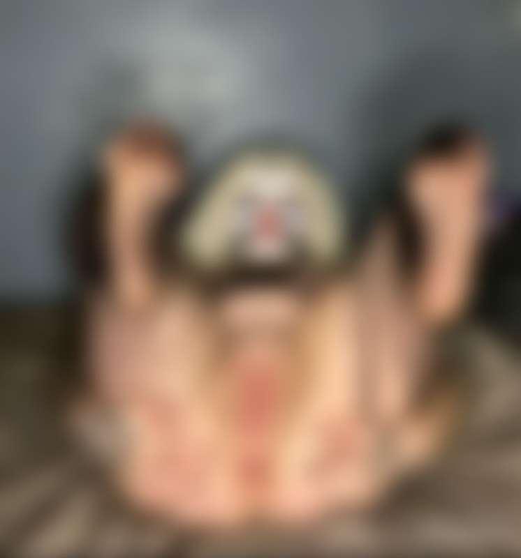 If you think Cutie's asshole looks good... imagine how good it tastes 😈

#fyp #clown #clowngirl #clownmakeup #curvy #blonde #clownnose #tongue #tongueout #fishnets #fishnetbodystocking #bodystocking #catgirl #worship #pussy #shaved #assworship