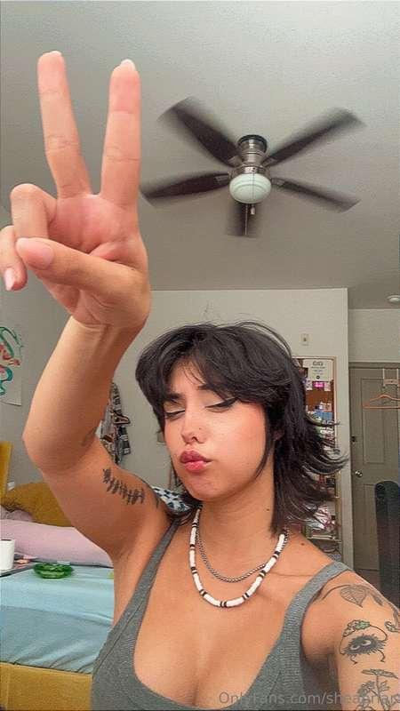 sheabriar image #1
