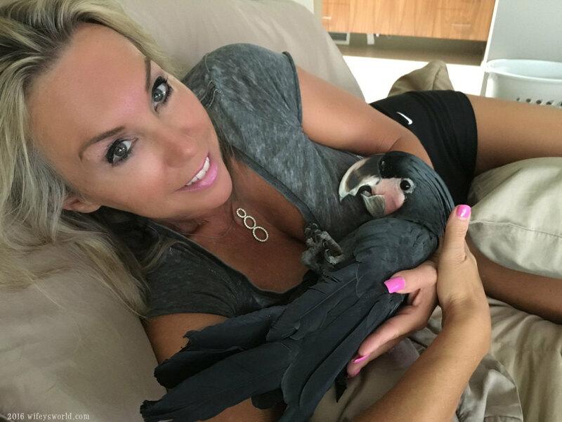 Me cradling a massive black cock between my boobs.. ?