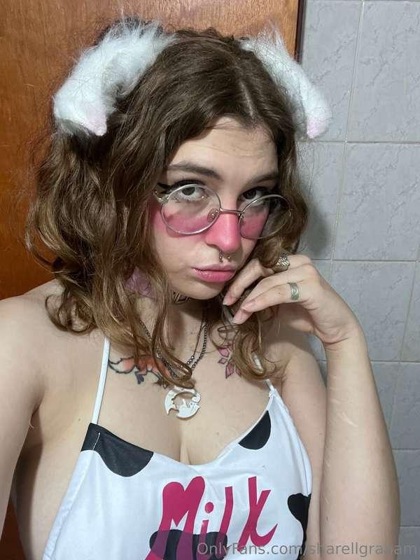 mooo 🐮